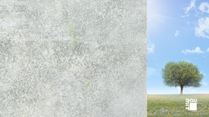 StarTop video_ordinary plaster_original.png